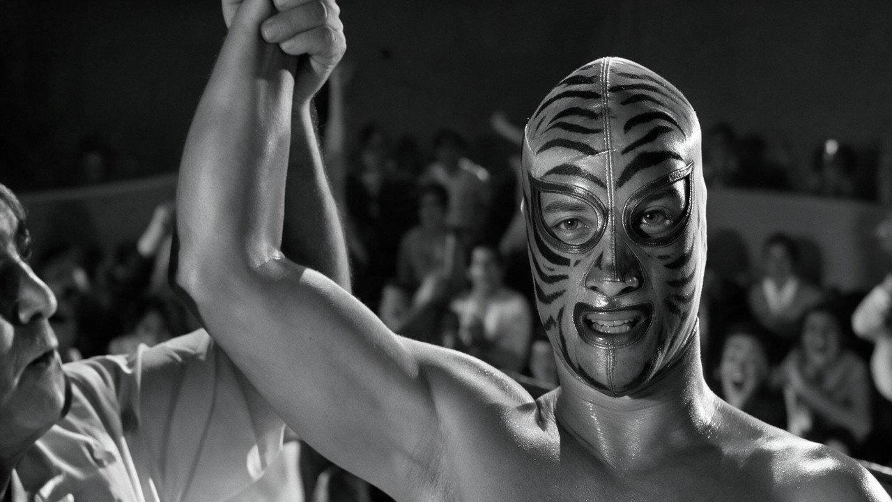 Los tigres del ring backdrop