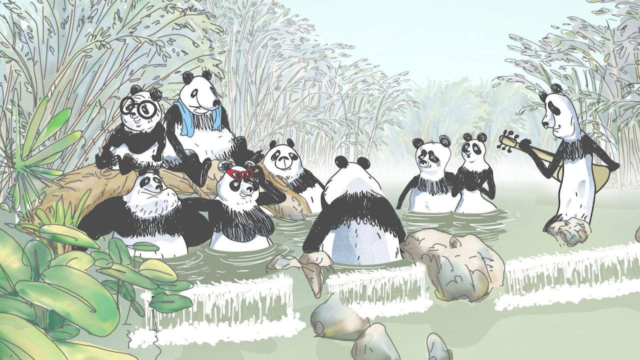 Pandas in the Mist backdrop