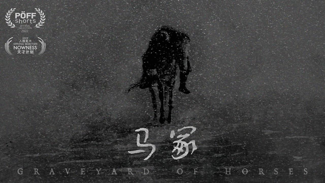 Graveyard of Horses backdrop