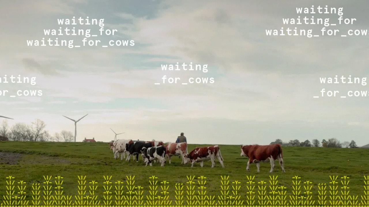 waiting_for_cows backdrop