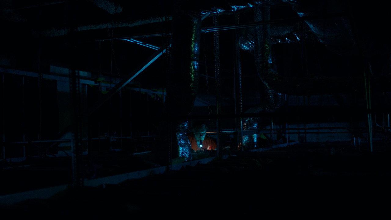 The Walls backdrop