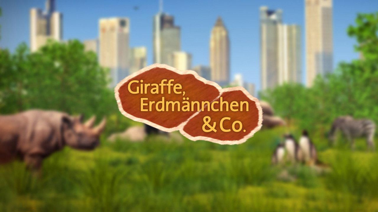 Giraffe, Erdmännchen & Co. backdrop