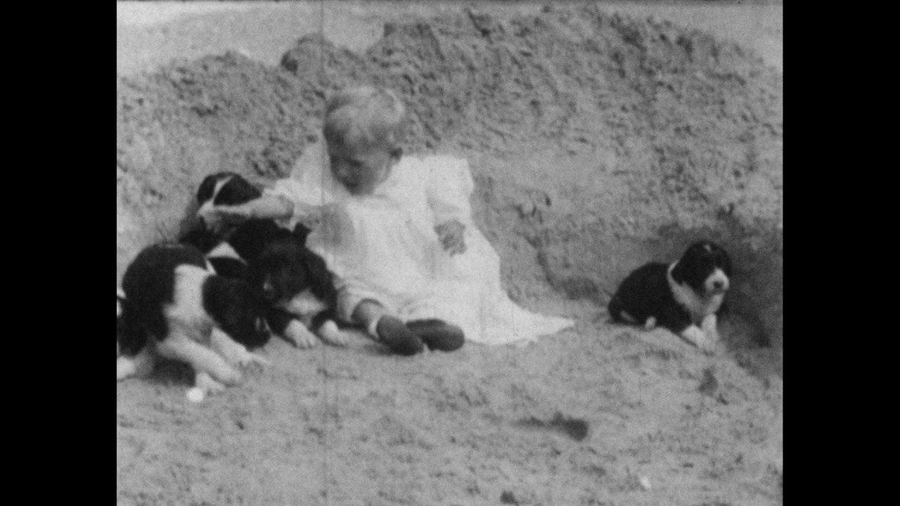 Wonder Dogs! Canine Stars of the Silent Era (1898-1928) backdrop