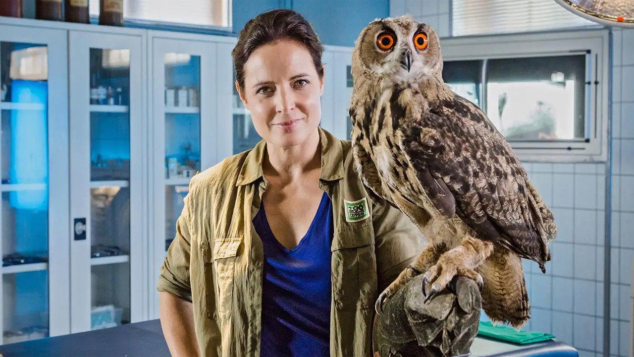 Zoo Doctor: My Mon the Vet backdrop