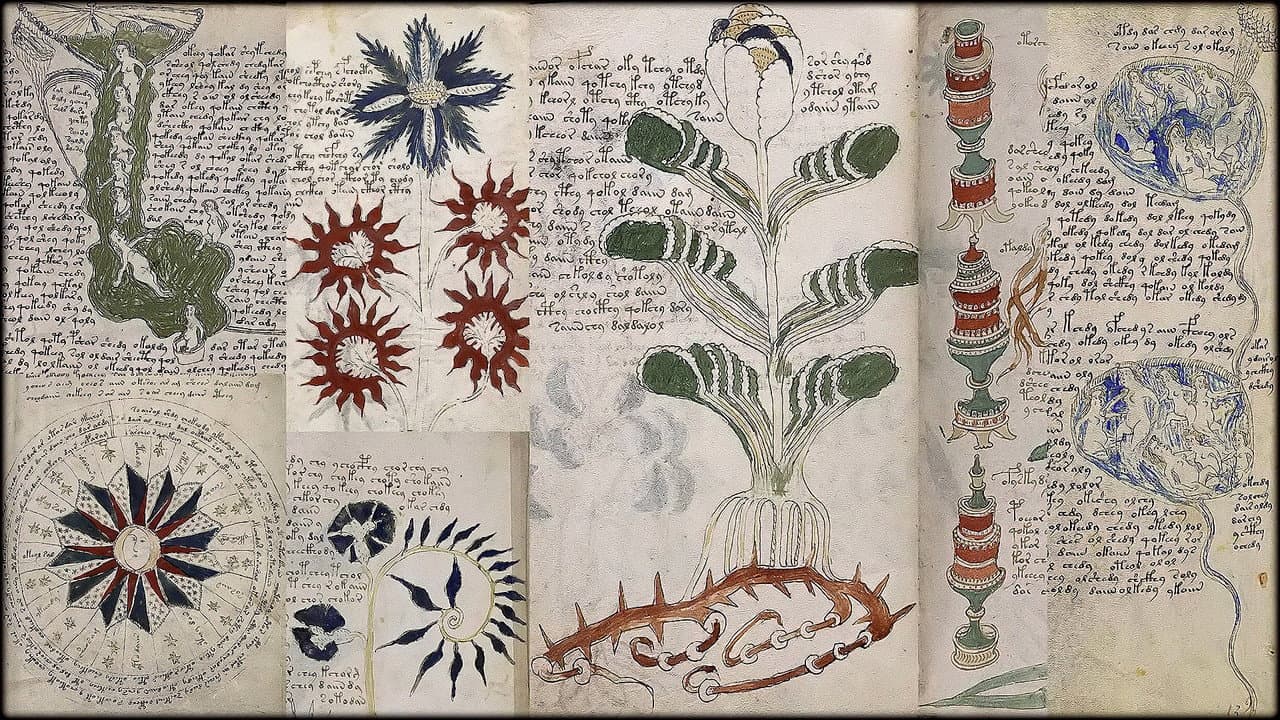 Das Voynich-Manuskript - Die geheimnisvollste Handschrift der Welt backdrop