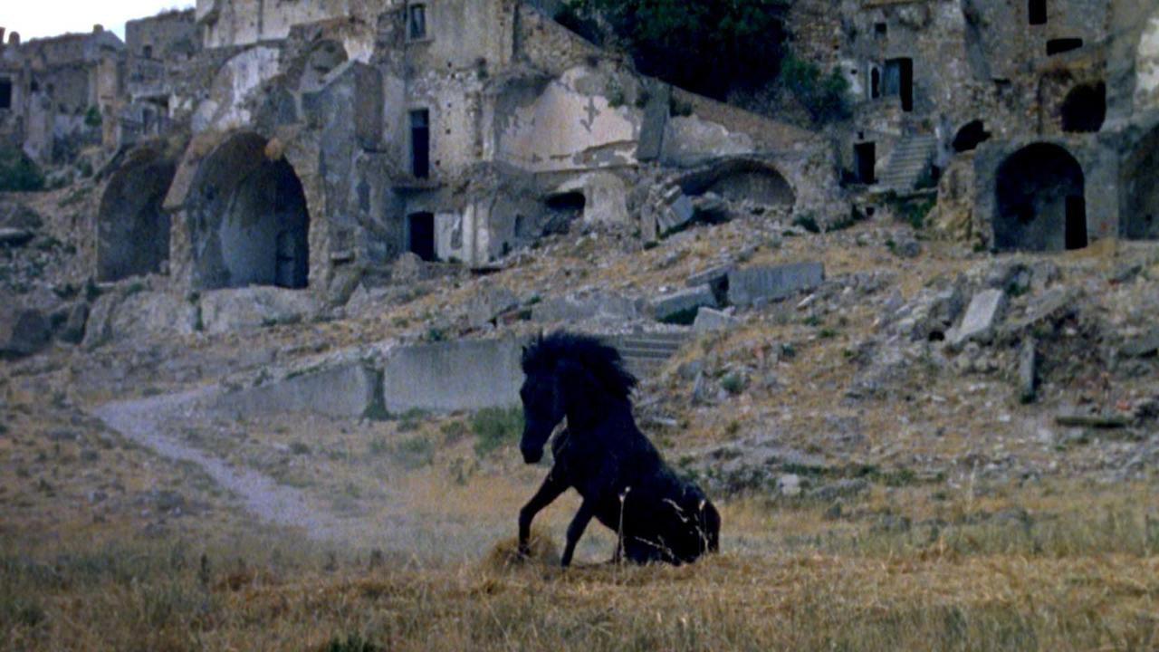 Montedoro backdrop