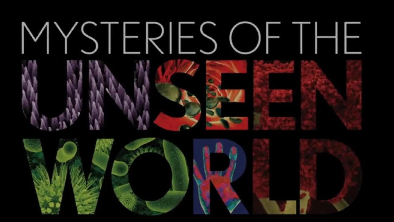 Mysteries of the Unseen World backdrop