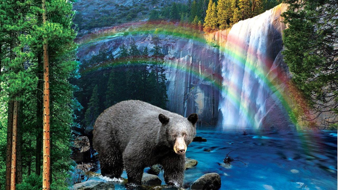 Yosemite: America's Treasure backdrop