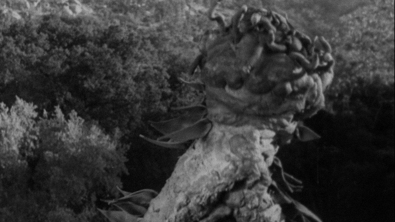The Creeping Terror backdrop