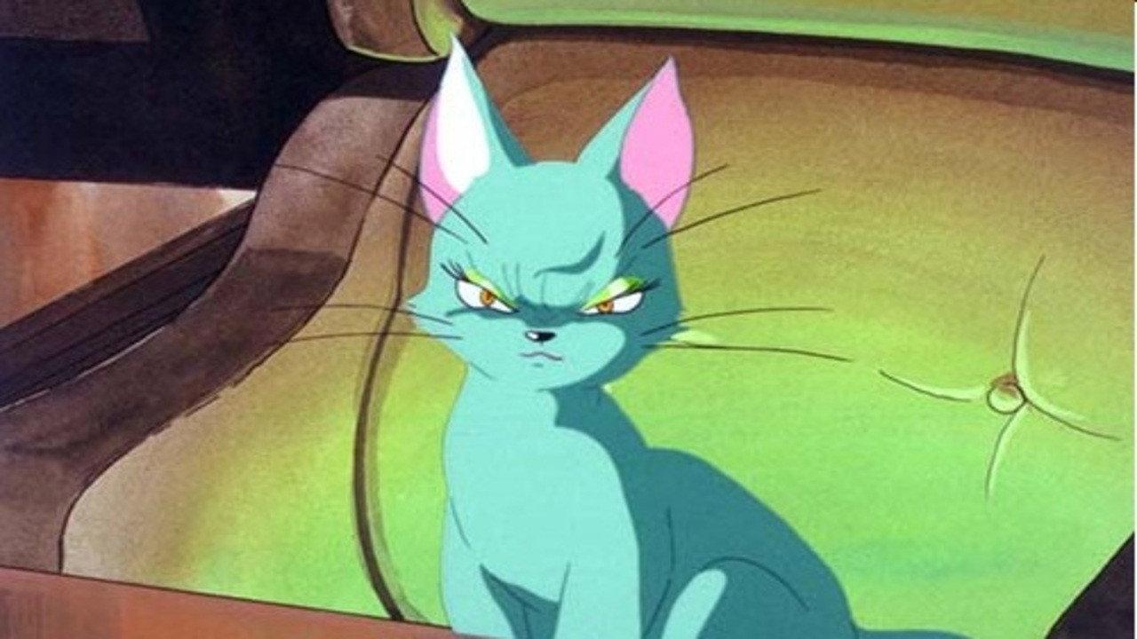 The Green Cat backdrop