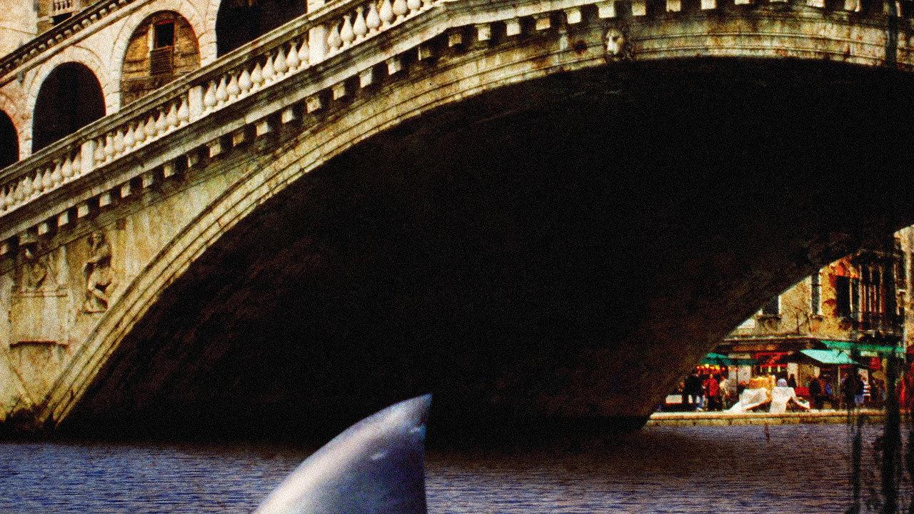 Sharks in Venice backdrop