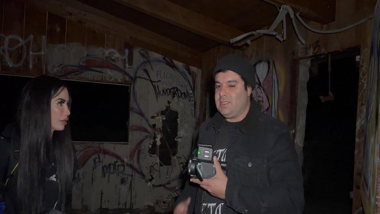 The Dead Follows backdrop