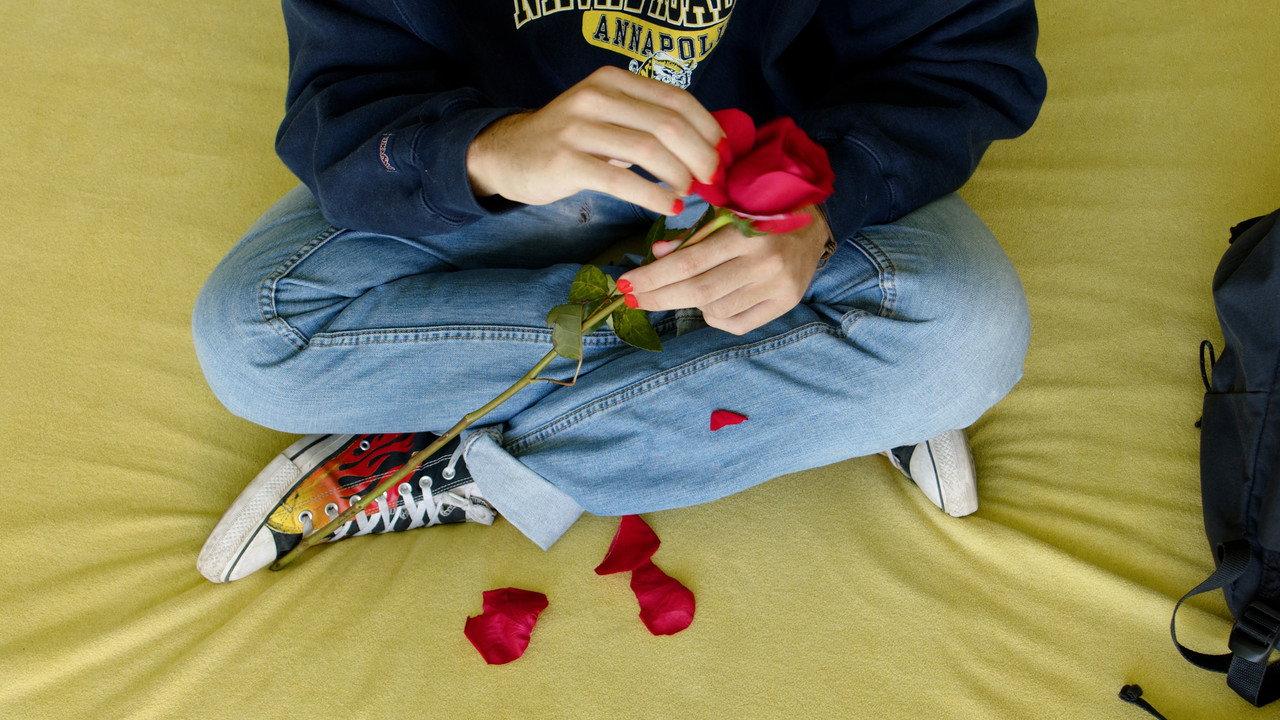 He Loves Me, He Loves Me Not backdrop