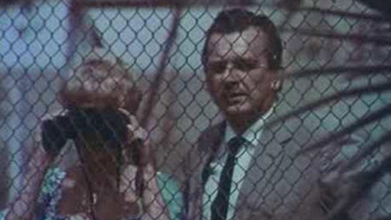 The Magnificent Tony Carrera backdrop