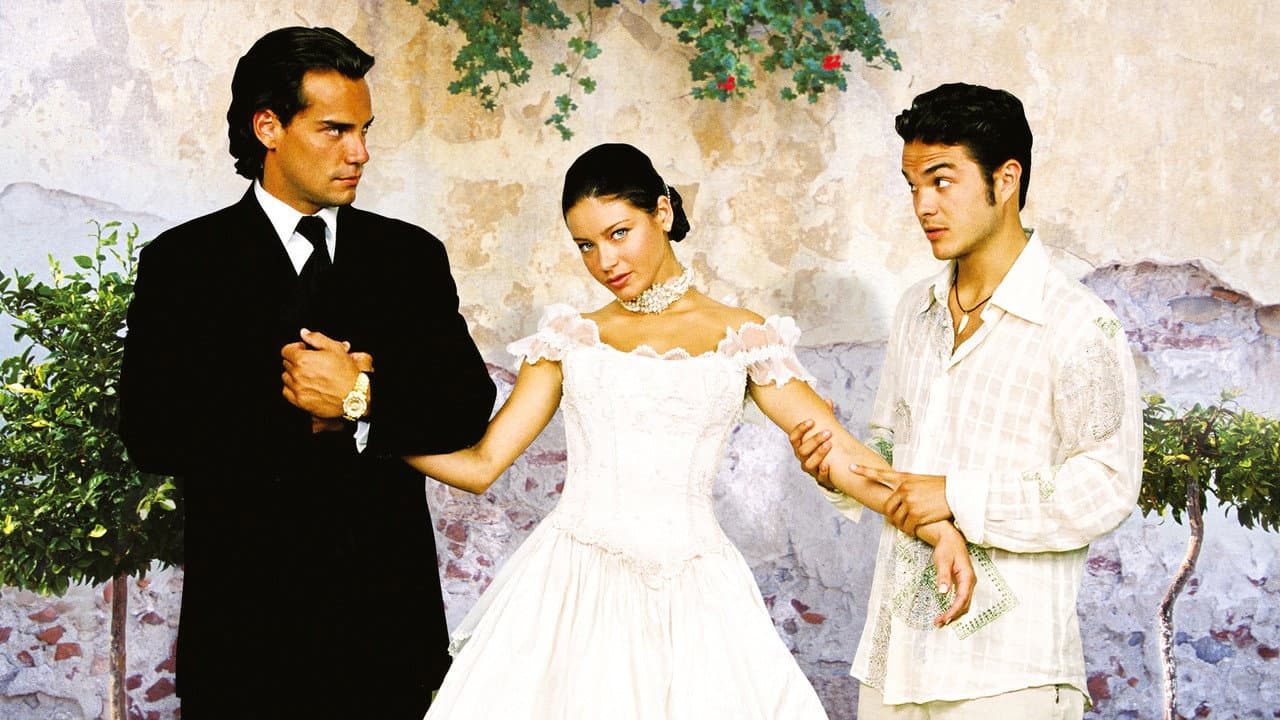 Once Upon a Wedding backdrop