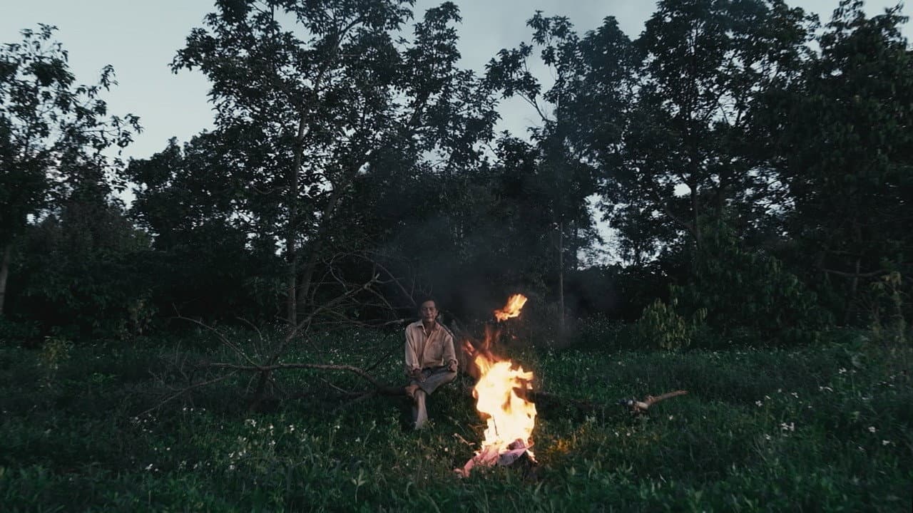 MỐI ĐÊM backdrop