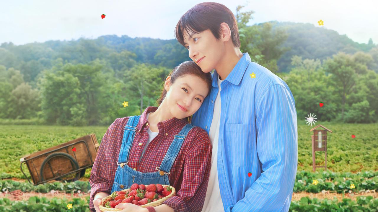 Merry Berry Love backdrop