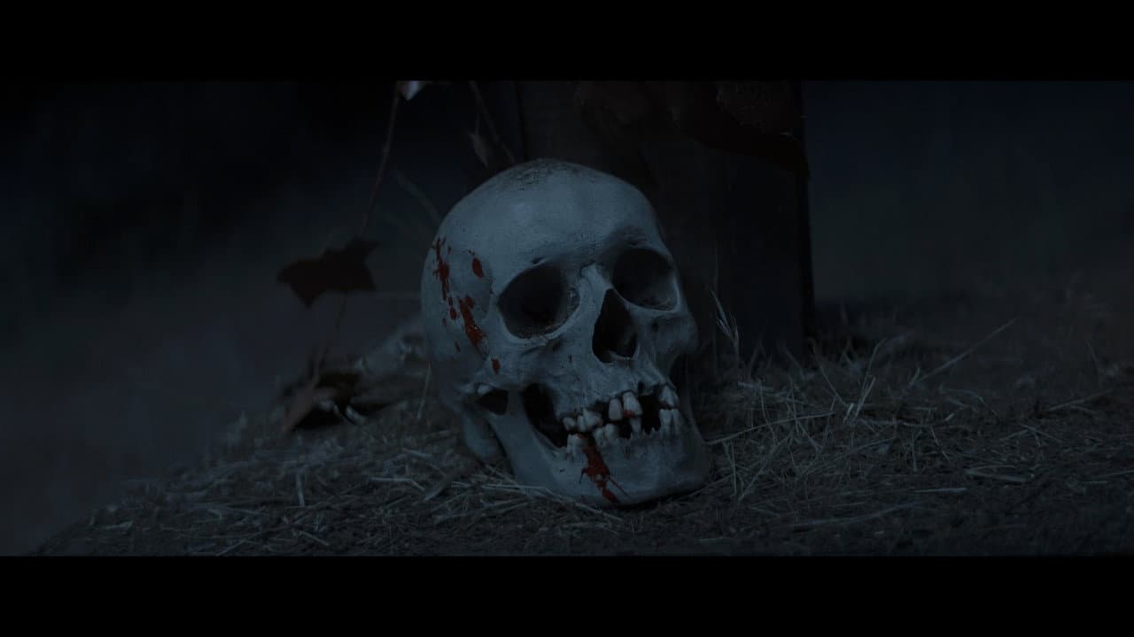 The Christ of the Skull backdrop