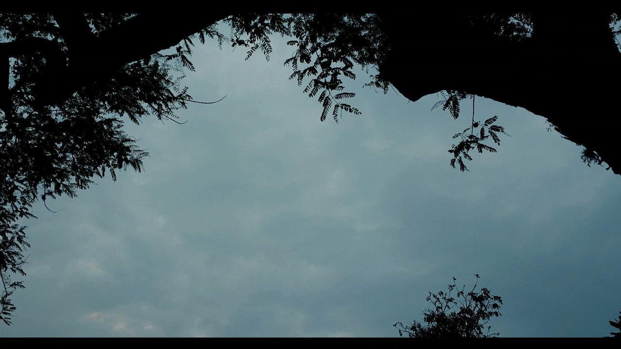 Além do Tempo backdrop