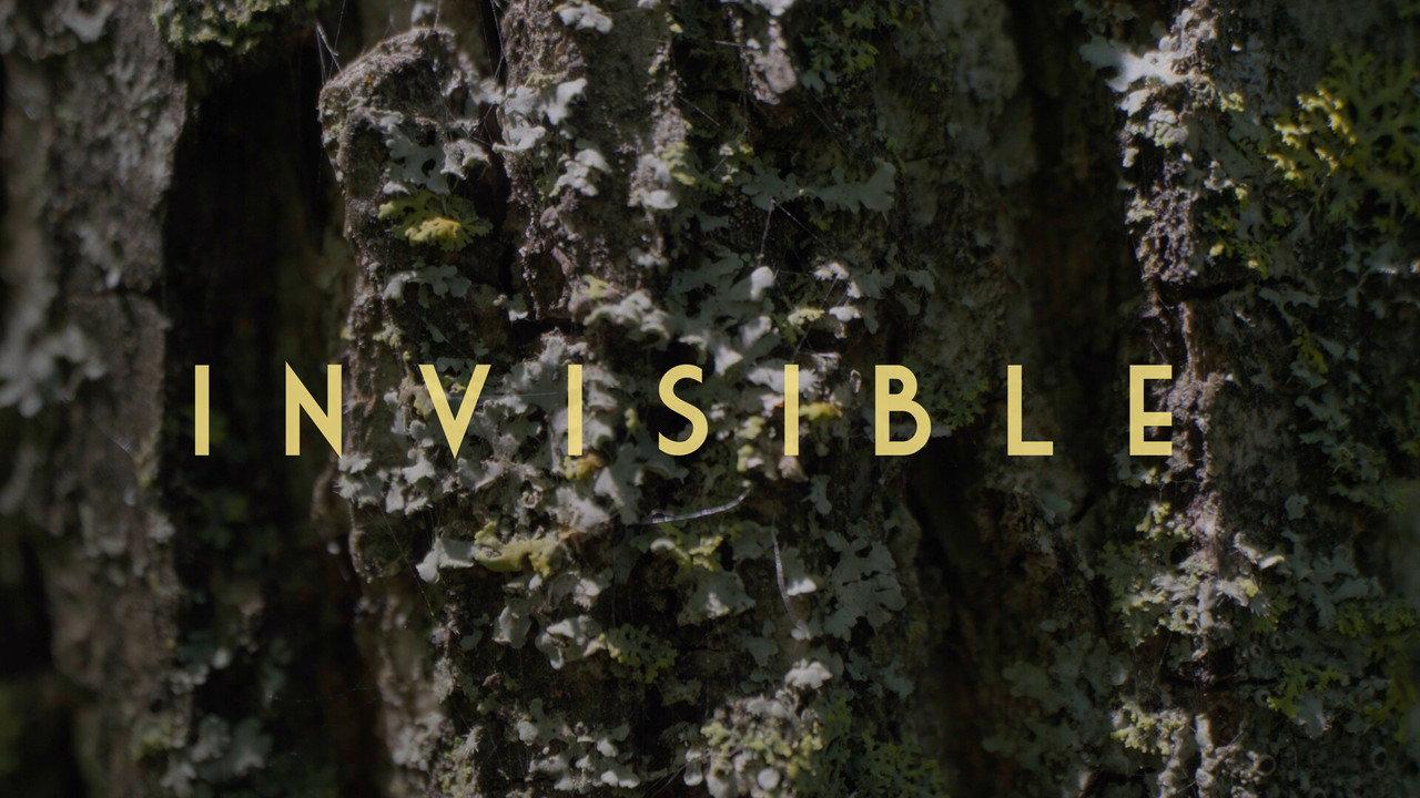 Invisible - Revealing Hidden Disabilities backdrop