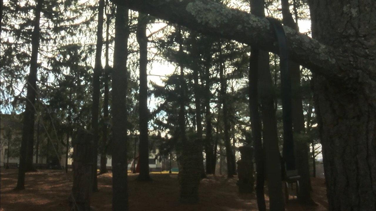 escape backdrop