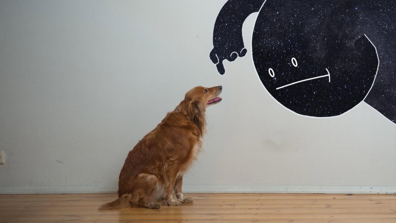 Mr. Night has a Day Off backdrop