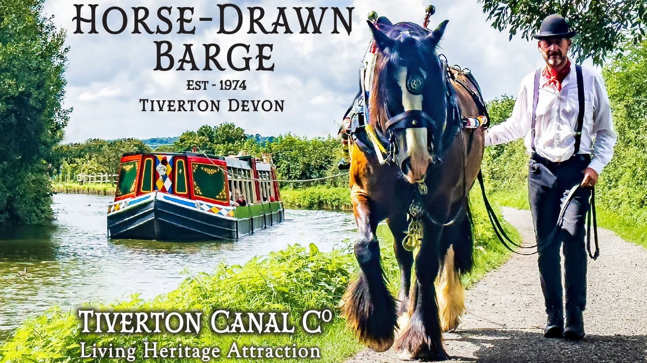 Tiverton Canal Co. 50th Anniversary backdrop