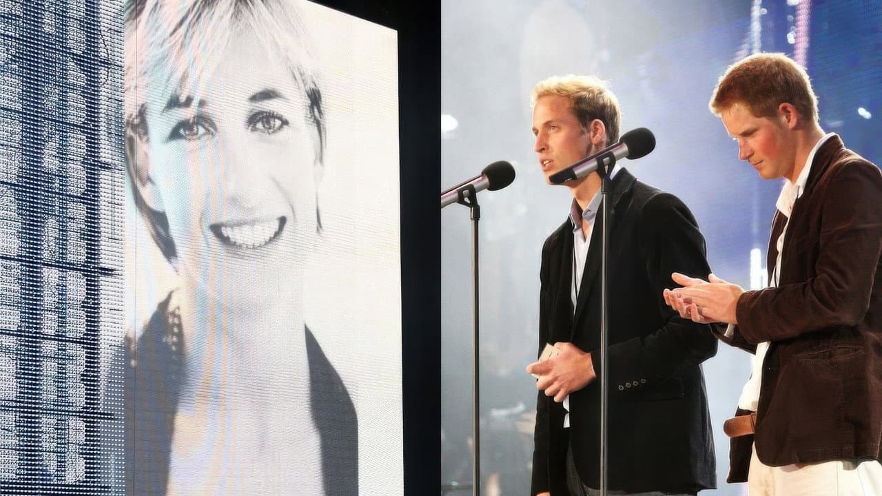 Concert for Diana backdrop