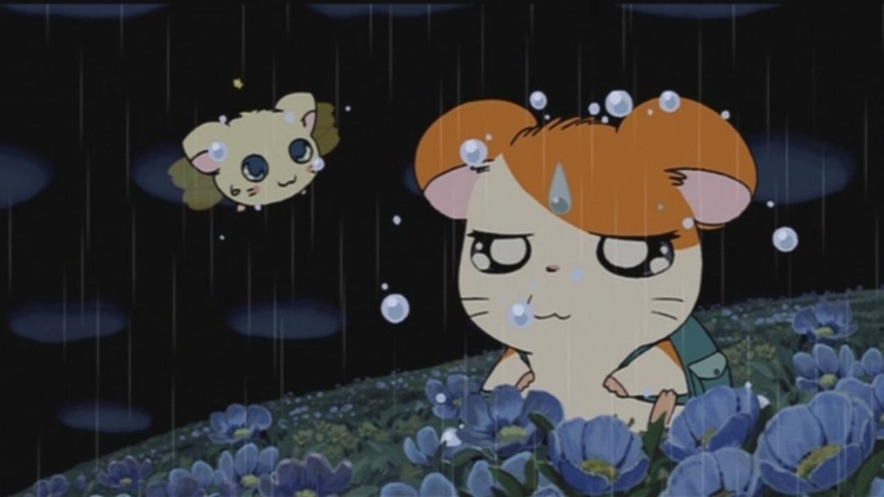 Hamtaro: Adventures in Ham-Ham Land backdrop