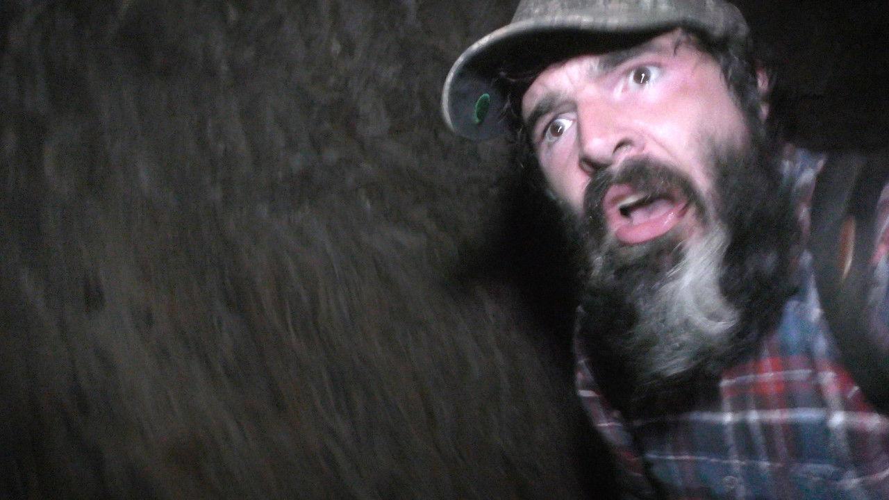 Wilderness Tapes: Volume One backdrop