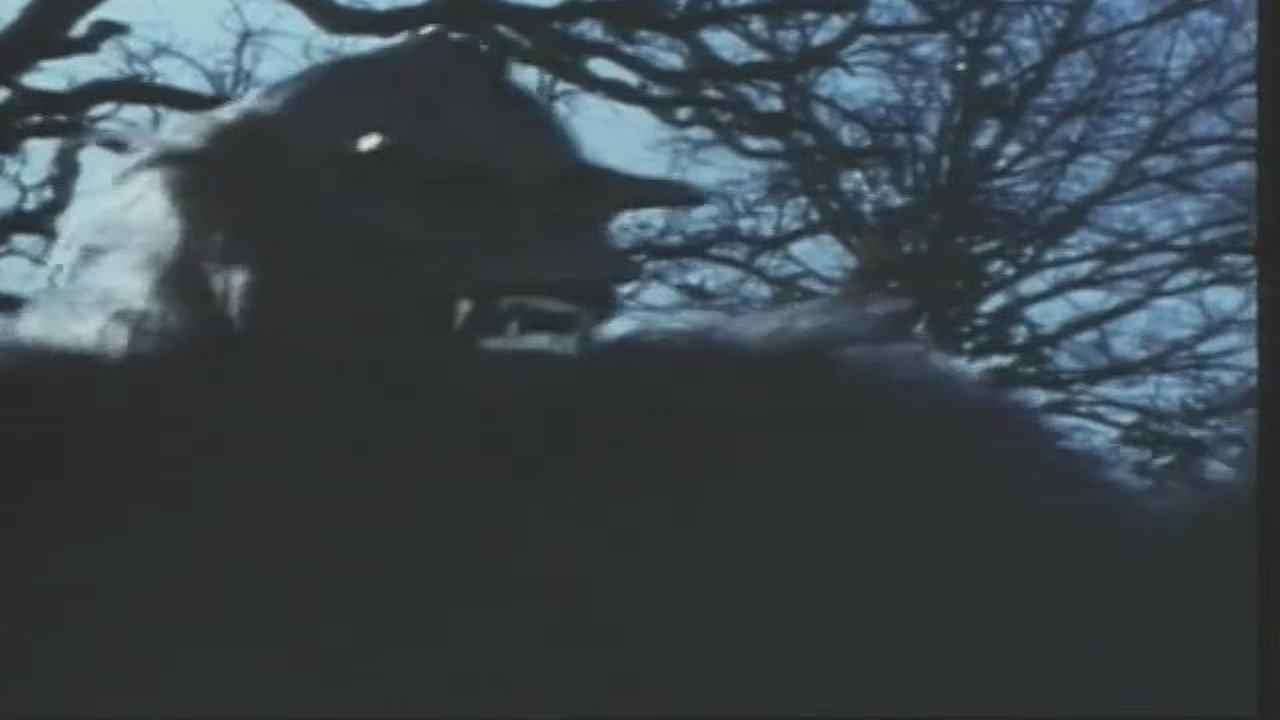 Night Fright backdrop