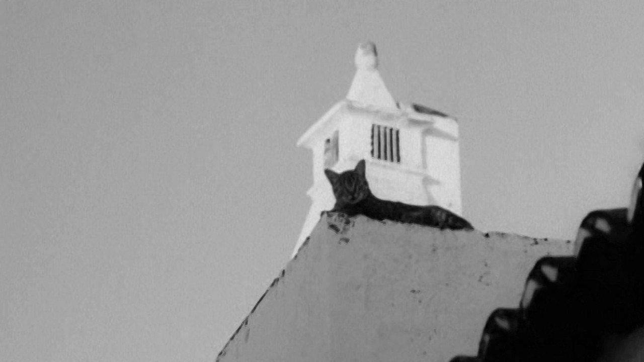 As Pedras e o Tempo backdrop