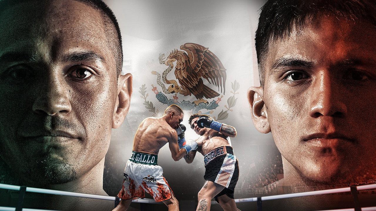 Juan Francisco Estrada vs. Jesse Rodriguez backdrop