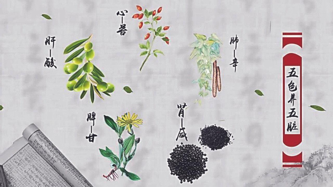 本草传 backdrop