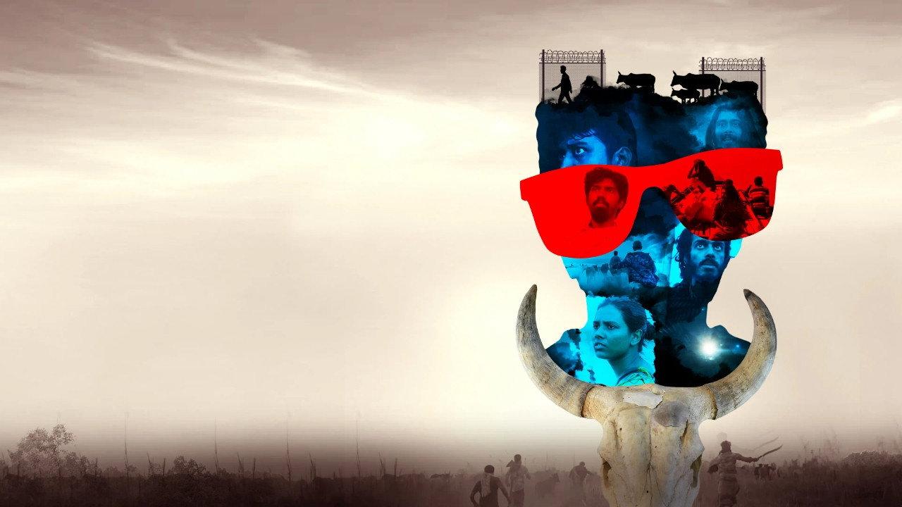 Shaaticup backdrop