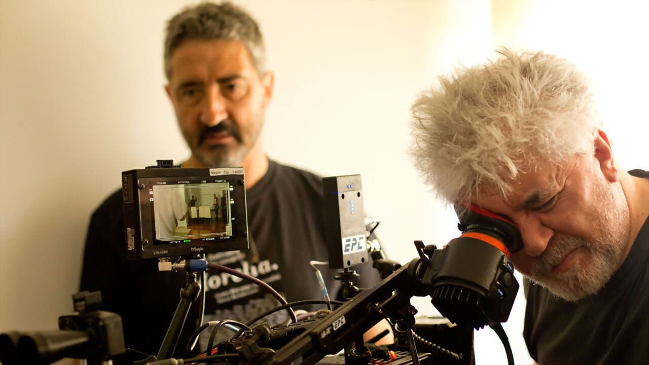 Almodóvar, l'insolent de la Mancha backdrop