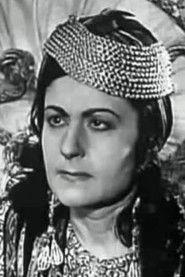 Negma Ibrahim profile photo