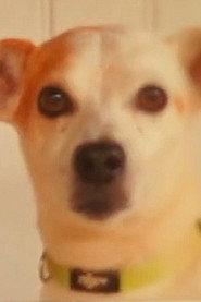 Toby profile photo
