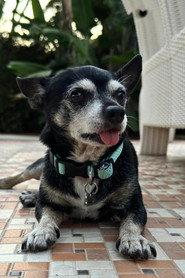 Cuki profile photo