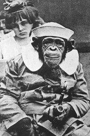 Mrs. Joe Martin profile photo