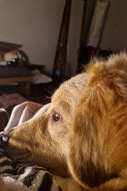 Milo profile photo