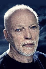David Gilmour profile photo