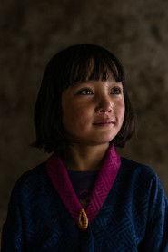 Pem Zam profile photo