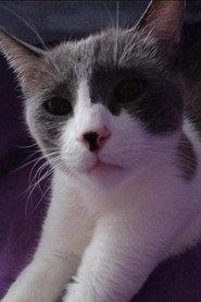 Misha profile photo