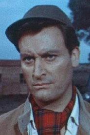 Nando Angelini profile photo