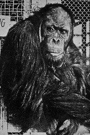 Joe Martin profile photo