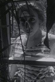 Amy Halpern profile photo