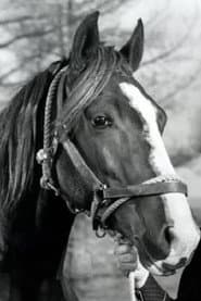 Champion Jr. profile photo