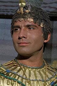 Angelo Zanolli profile photo