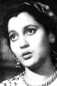 Shakuntala profile photo
